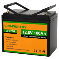 Аккумуляторная батарея Eco-Worthy LiFePO4 12v 100Ah
