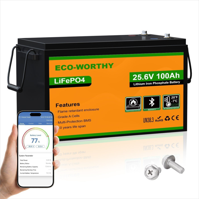 Акумуляторна батарея Eco-Worthy LiFePO4 24v 100Ah