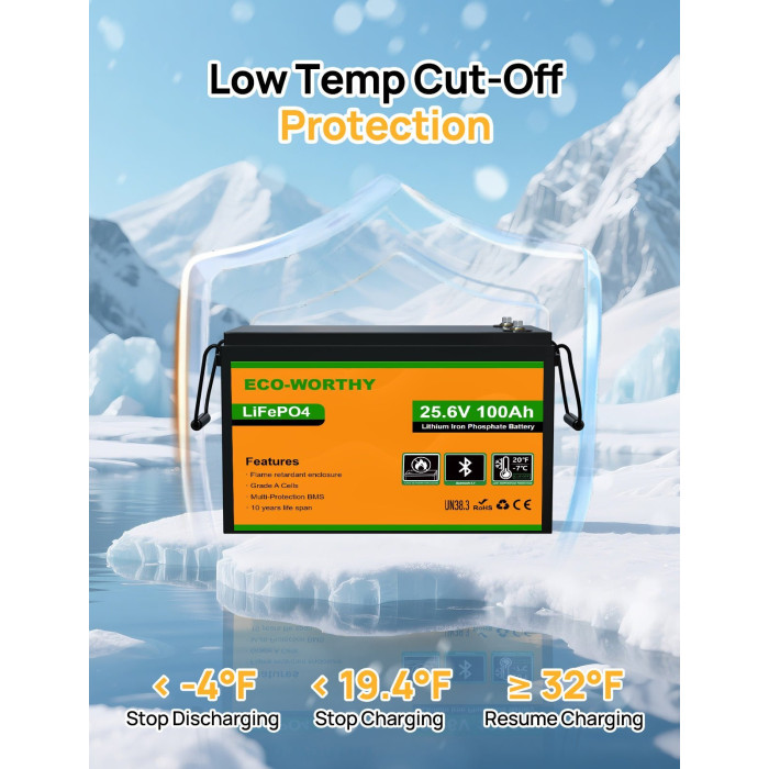Акумуляторна батарея Eco-Worthy LiFePO4 24v 100Ah