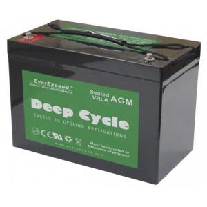 Акумуляторна батарея EverExceed DP-12100