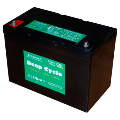 Аккумуляторная батарея EverExceed DP-12150