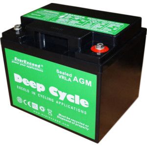 Акумуляторна батарея EverExceed DP-1250