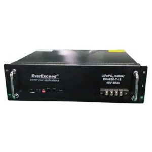 Аккумуляторная батарея EverExceed EV4850-T-16 51,2V 50Ah