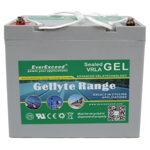 Акумуляторна батарея EverExceed GL-1255