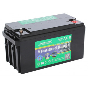 Акумуляторна батарея EverExceed ST-1280