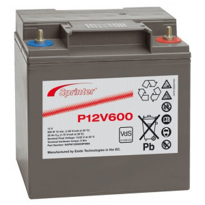 Акумуляторна батарея EXIDE Sprinter P12V600 12V 24Ah